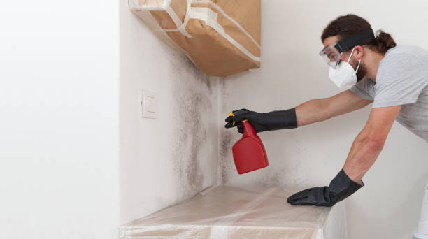 Professional Mold Remediation technician working in Hopkins, MI